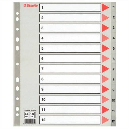 Regiszter, műanyag, A4 Maxi, 1-12, ESSELTE, szürke