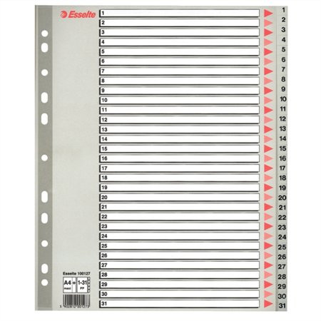 Regiszter, műanyag, A4 Maxi, 1-31, ESSELTE, szürke